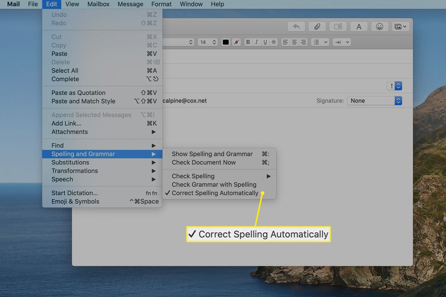 outlook for mac automatic spell check